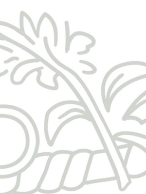 orfèvre gris platine/blanc