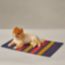 Rocabar blanket, large model, navy/paille