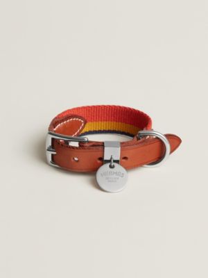 Hundehalsband Rocabar III, Ansicht: Vorderansicht, front, Ansicht 2 von 3