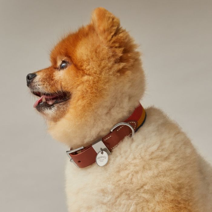 New HERMES Dog Collar & Lead Set Locabal Slim Hermes XS