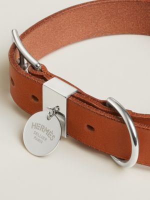 Etriviere III dog collar, View: Detail, detail, view 3 of 3