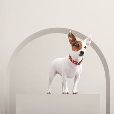 犬用フリスビー 《ウフ》 | Hermès - エルメス-公式サイト
