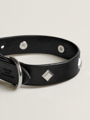 犬用首輪 《パンチ》, イメージ: 正面から見たイメージ, front, ビュー3の3