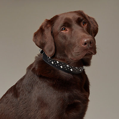 犬用フリスビー 《ウフ》 | Hermès - エルメス-公式サイト 犬用フリスビー 《ウフ》 | Hermès - エルメス-公式サイト