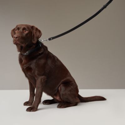 犬用リード 《パンチ》 | Hermès - エルメス-公式サイト