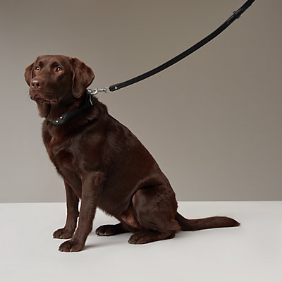 犬用首輪 《トレス》 | Hermès - エルメス-公式サイト 犬用首輪 《トレス》 | Hermès - エルメス-公式サイト