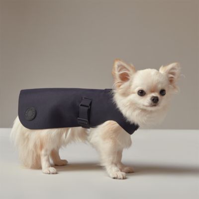 Dog raincoat, M and L | Hermès USA
