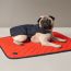 Dog coat, M and L, navy