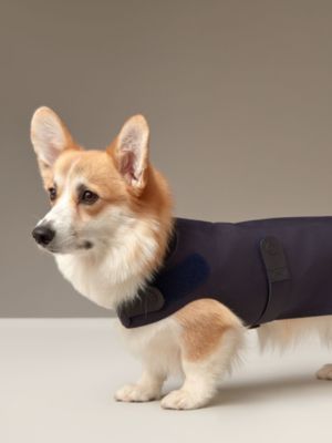 Dog raincoat, M and L, View: front, front, view 2 of 3