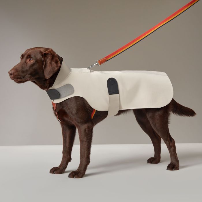 Goyard Dog Leash Collar Strap Orange Coated Canvas Short Animal Pet  Accessories