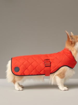 Dog coat, M and L, View: front, front, view 2 of 3