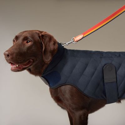 HERMES DOG 犬用 コート 服【新品 タグ付き】 Dog coat, M and L | Hermès USA