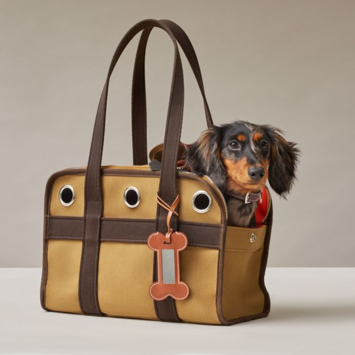Brown Louis Vuitton dog saddle bags  Unique dog beds, Dog modeling, Saddle  bags