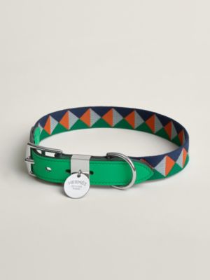 Collier pour chien Médor, Vue: vue de face, front, vue 2 sur 3
