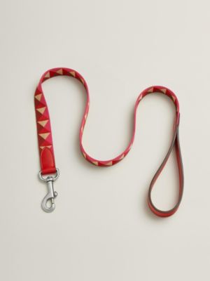 Laisse pour chien Médor, Vue: vue de face, front, vue 2 sur 2