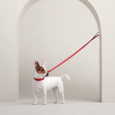 犬用リード 《メドール》 | Hermès - エルメス-公式サイト