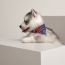 Eperon d'Or dog bandana, medium model, bordeaux/bleu marine