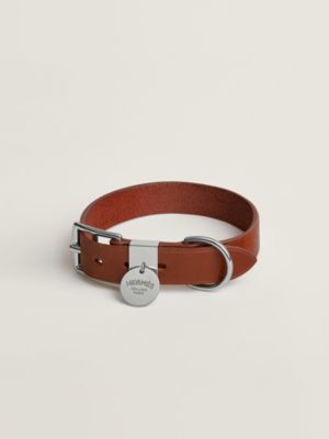 Polisson dog collar, View: front, front, view 2 of 4