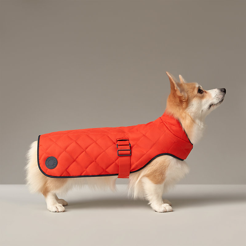 HERMES DOG 犬用 コート 服 - 犬服・アクセサリー