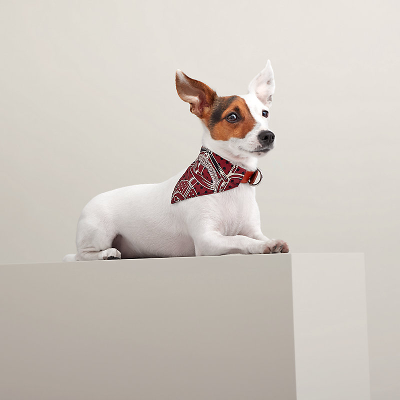 Bandana per cani Eperon d’Or S