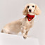 Bandana pour chien Maillons S, Vue: Vue portée, worn, vue 1 sur 4