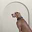 Black Tie dog collar, M and L, View: Worn, worn, view 1 of 3