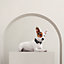 Black Tie dog collar, XS and S, View: Worn, worn, view 1 of 4