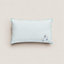 Cabriole pillow, View: Worn, worn, view 1 of 4