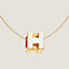 Cage d'H pendant, View: Detail, crop, view 1 of 2
