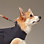 Cape de pluie pour chien M et L, Vue: Vue portée, worn, vue 1 sur 3
