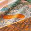 Carré 90 doble faz Della Cavalleria, Vista: Vista detallada, detail, vista 5 de 5
