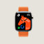 Cassa Series&nbsp;11 & Cinturino Apple Watch Hermès Simple Tour 42&nbsp;mm, Vista: vista frontale, front, vista 4 su 4