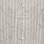 Chemise manches courtes «&nbsp;Eperon d'Or 3D Ray&nbsp;», Vue: Vue portée, worn, vue 5 sur 5