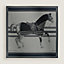 Cheval a la Couverture Spirale scarf 100, View: Flat, flat, view 1 of 4