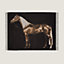 Cheval Palomino毛毯, 檢視: 正面, front, 檢視共1張圖片的第3張