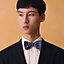 Cheval Sous Toutes Ses Formes bow tie, View: Worn, worn, view 2 of 2