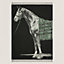 Cheval Talaria blanket, View: Flat, flat, view 1 of 5
