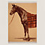 View: Flat, Cheval Talaria blanket