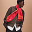 Clic-Clac scarf, View: Worn, worn, view 1 of 3