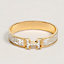 Clic H Guepards bracelet, View: front, front, view 1 of 4