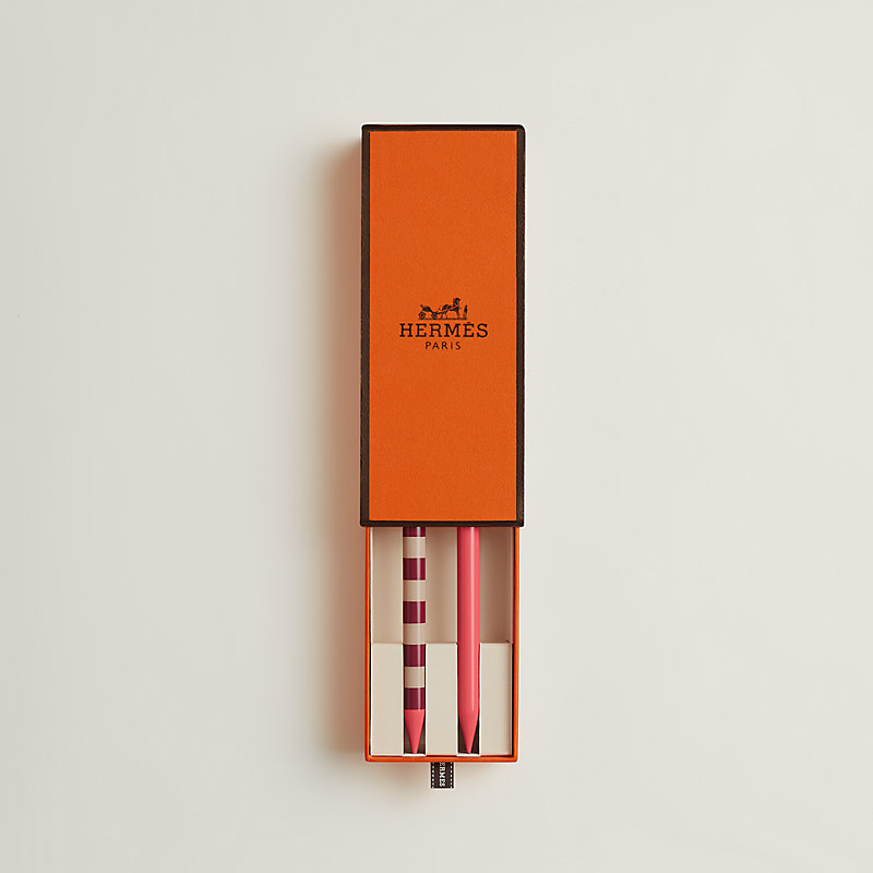 Coffret de 2 pics à chignon Croquis