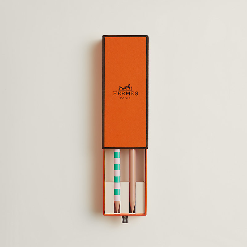 Coffret de 2 pics à chignon Croquis