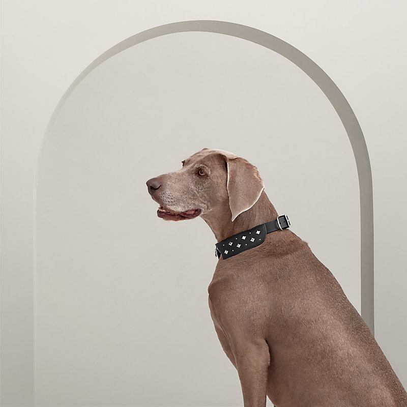 Collar para perro Black Tie M y L