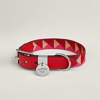 Collier pour chien Médor | Hermès Canada