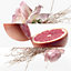 Vista: Immagine prodotto indossato, Concentré de pamplemousse rose Eau de toilette
