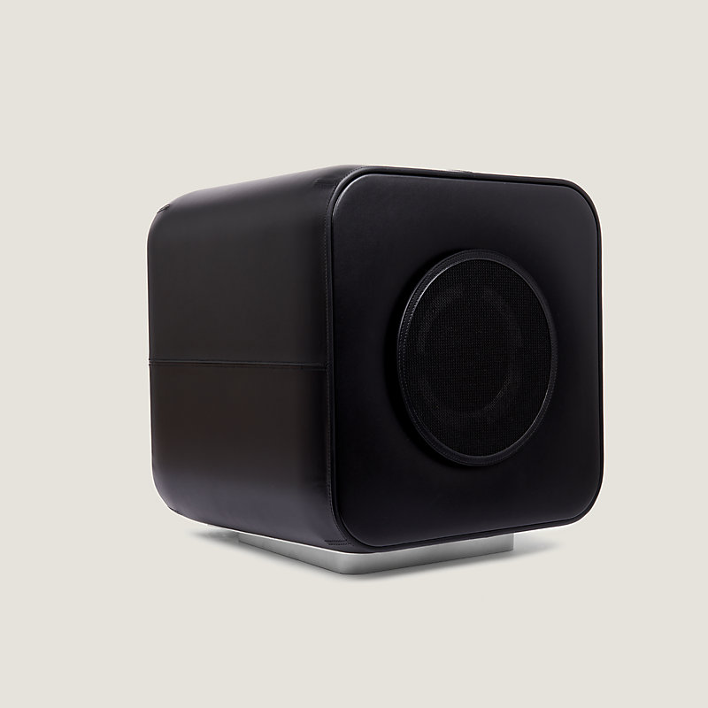 Connected speaker