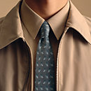 Vista: Ver artículo puesto, Corbata Sur les toits d'Hermès