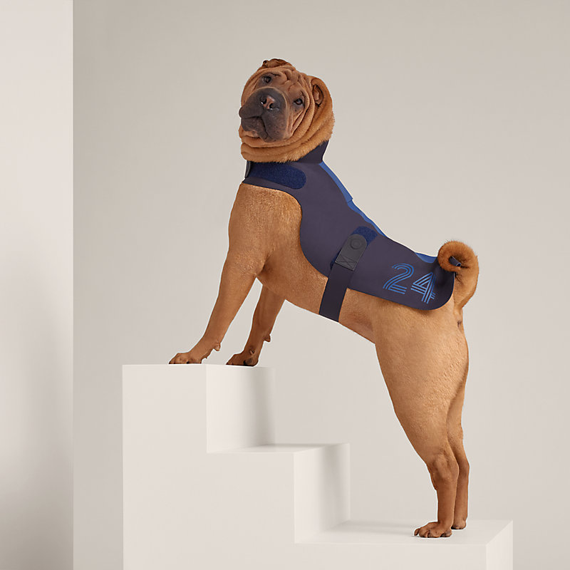 HERMES ドッグコート ドッグウェア Course 24 Dog raincoat, M and L | Hermès USA