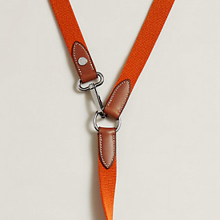 dog leash orange