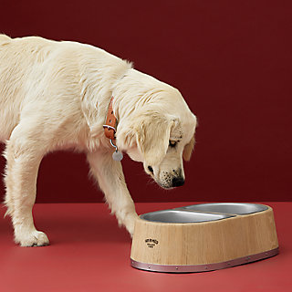 hermes pet bowl